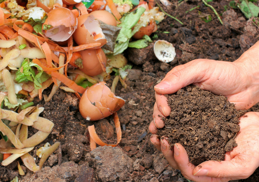 como-hacer-composta-en-casa-el-secreto-para-un-jardin-saludable-y-ecologico-1715961956874_512-2 Aprende a hacer tu propia composta en casa