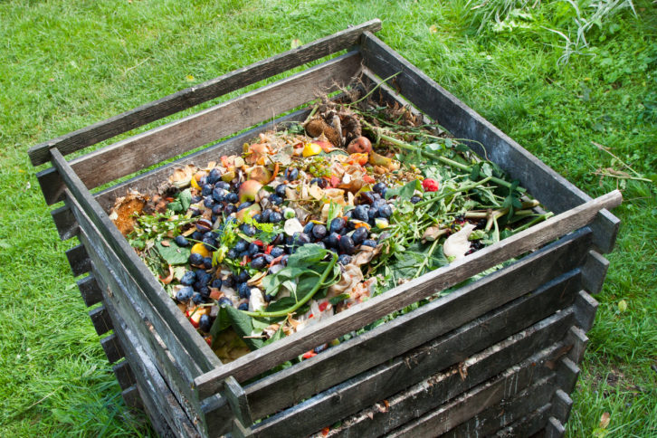 compost-casero-compostador-726x484-1 Aprende a hacer tu propia composta en casa