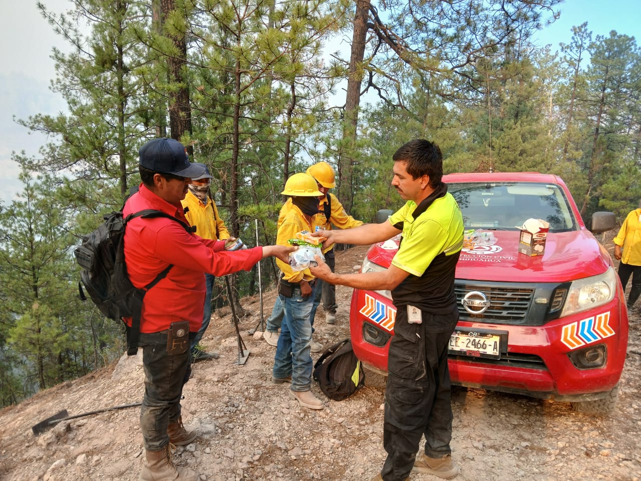 apoyo-2 Chihuahua